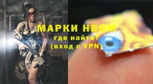 индика Володарск