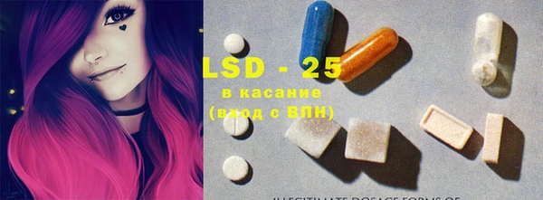 индика Володарск