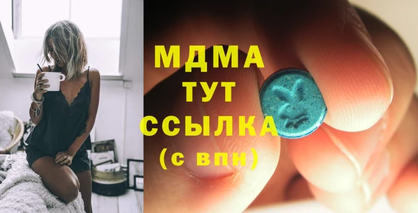 индика Володарск