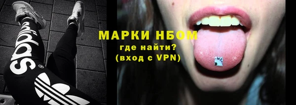 индика Володарск