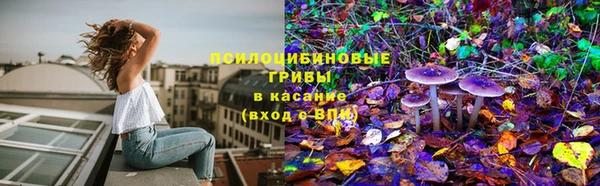 индика Володарск