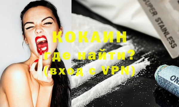 индика Володарск