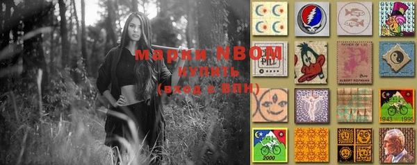 индика Володарск