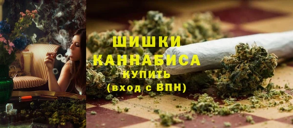 индика Володарск