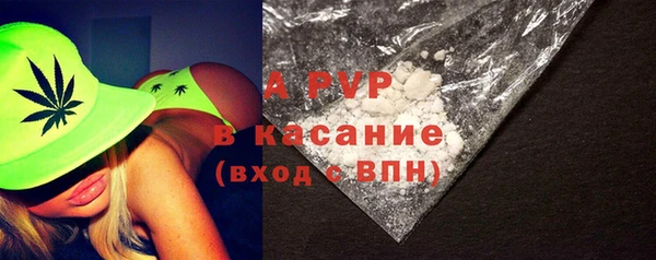 индика Володарск
