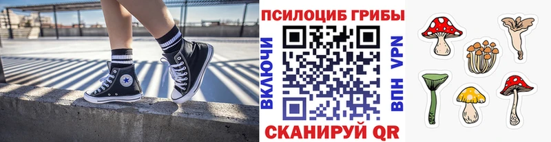 Псилоцибиновые грибы мухоморы  Купить  Лениногорск 